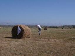 Rotoballegolftrophy 2011