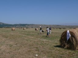 Rotoballegolftrophy 2011