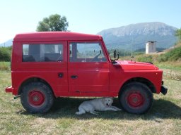 Rotoballegolftrophy 2011