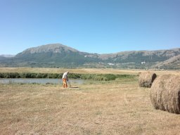 Rotoballegolftrophy 2012