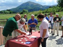 Rotoballegolftrophy 2012