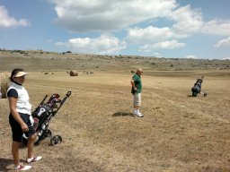 Rotoballegolftrophy 2012