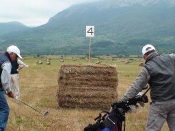 Rotoballegolftrophy 2016