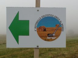 Rotoballegolftrophy 2016