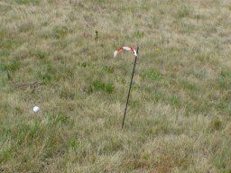 Rotoballegolftrophy 2016