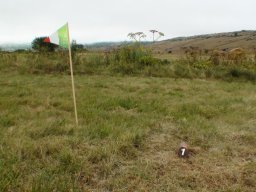 Rotoballegolftrophy 2016