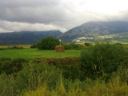 Rotoballegolftrophy 2016