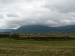 Rotoballegolftrophy 2016