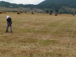 Rotoballegolftrophy 2016