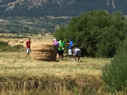 Rotoballegolftrophy 2017