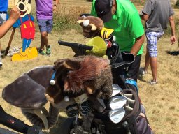 Rotoballegolftrophy 2017