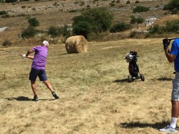 Rotoballegolftrophy 2017