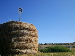 Rotoballegolftrophy 2017