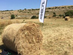 Rotoballegolftrophy 2017