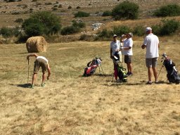 Rotoballegolftrophy 2017