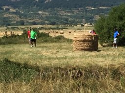 Rotoballegolftrophy 2017