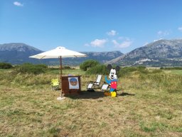 Rotoballegolftrophy 2018
