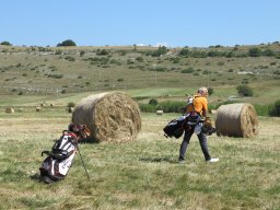 Rotoballegolftrophy 2018