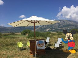 Rotoballegolftrophy 2018