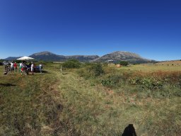 Rotoballegolftrophy 2019