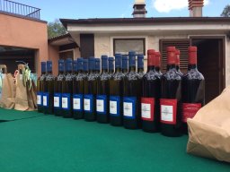 Rotoballegolftrophy 2019