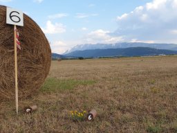 Rotoballegolftrophy 2020 &raquo; Allestimento Campo