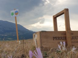 Rotoballegolftrophy 2020 - Allestimento Campo
