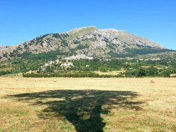 Rotoballegolftrophy 2020 - Allestimento Campo