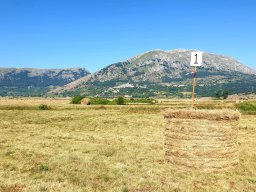 Rotoballegolftrophy 2020 - Allestimento Campo