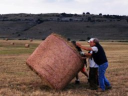 Rotoballegolftrophy 2020 - Allestimento Campo