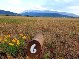 Rotoballegolftrophy 2020 - Allestimento Campo
