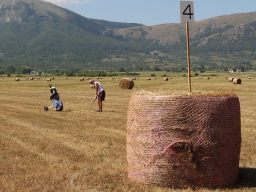 Rotoballegolftrophy 2020 - Gara