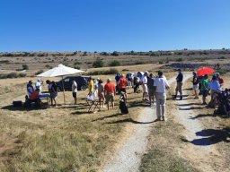 Rotoballegolftrophy 2021
