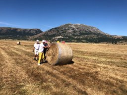 Rotoballegolftrophy 2021