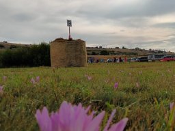 Rotoballegolftrophy 2022 - Sul Campo