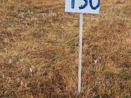 Rotoballegolftrophy 2022 - Sul Campo