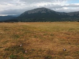 Rotoballegolftrophy 2022 - Sul Campo