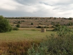 Rotoballegolftrophy 2022 - Sul Campo